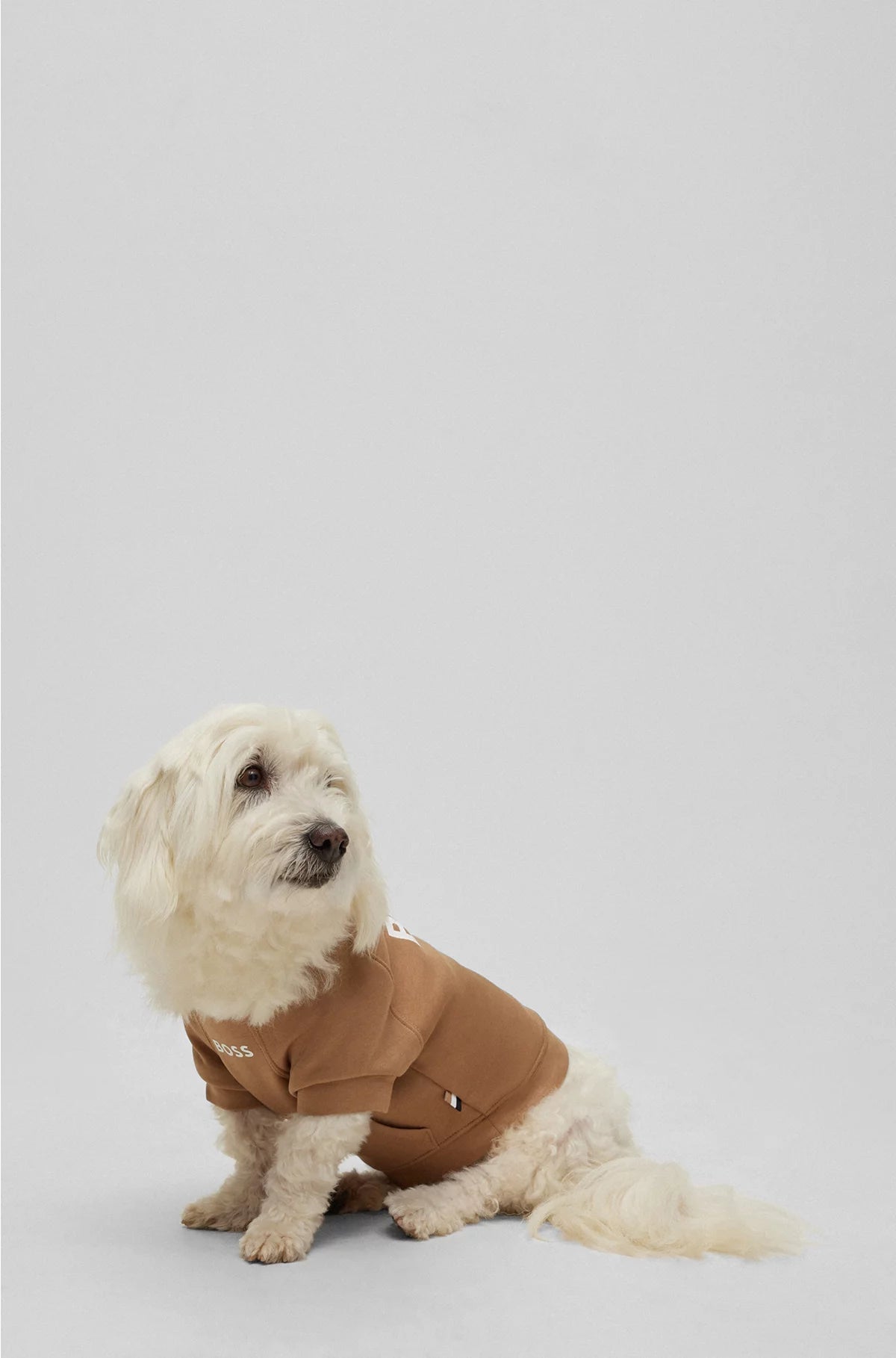 DOG SWEATER IN A COTTON BLEND